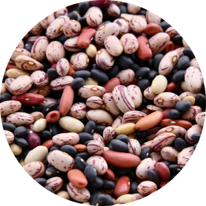 Legumes and Legume Products